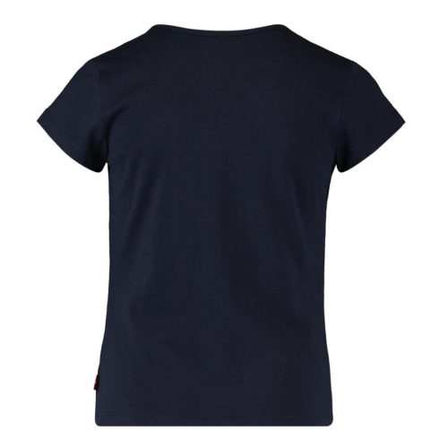 Levi's Blue T-shirt